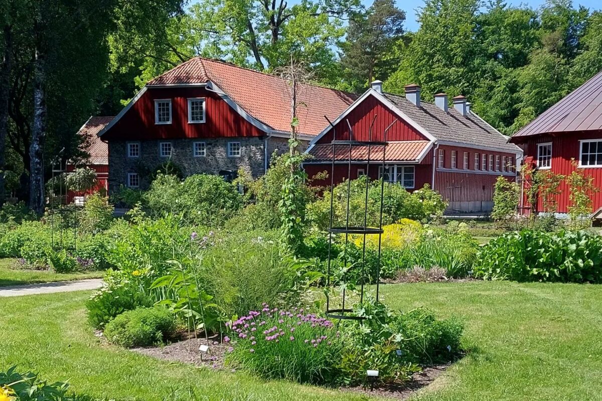 botanisk hage sommer Ida Jøssang (2)